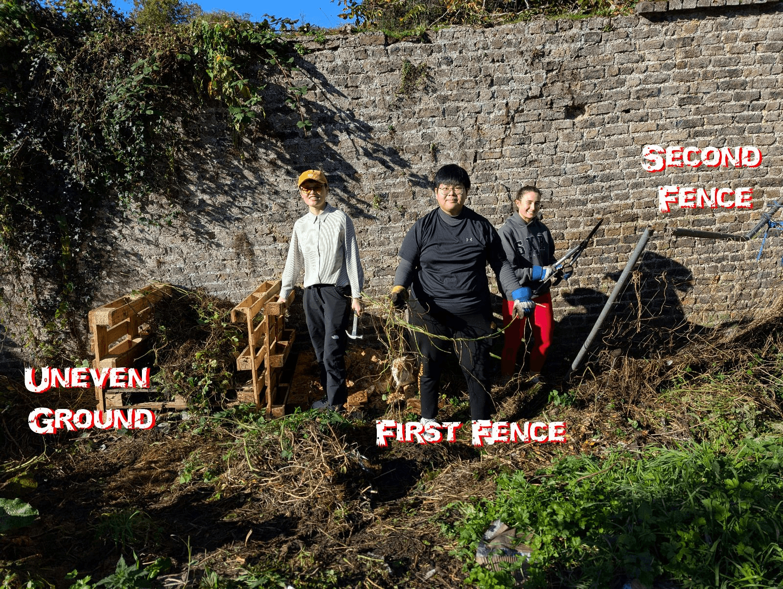 Clearing overgrown vines and old fences to make more space for future activities.