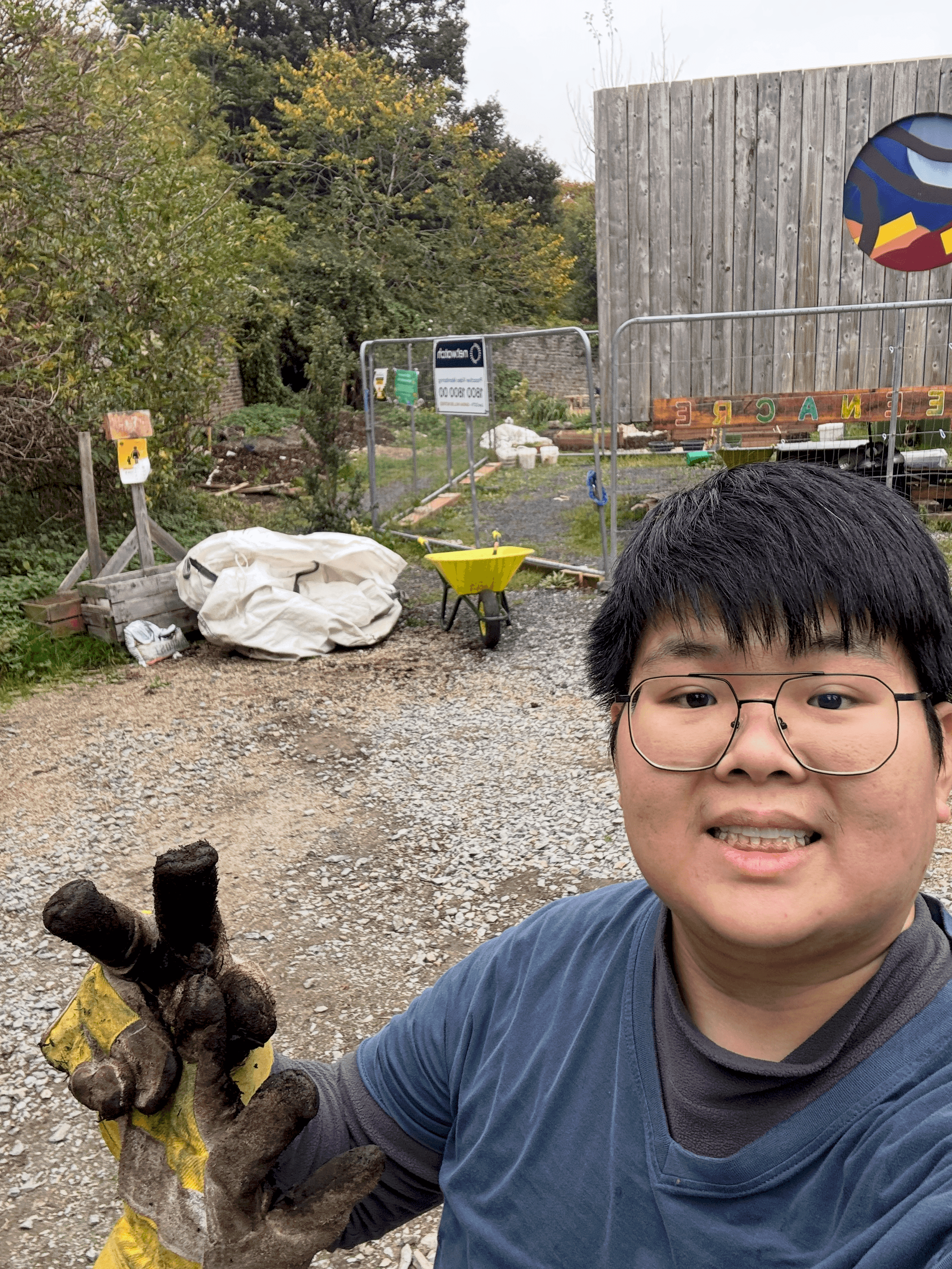 Clearing weeds then laying cardboard and mulch on garden trail.